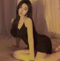 站点介绍
